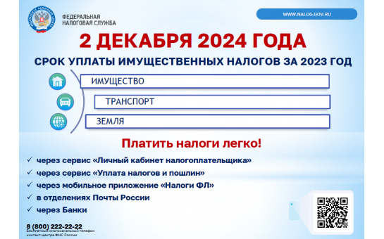 Срок уплаты имущественных налогов